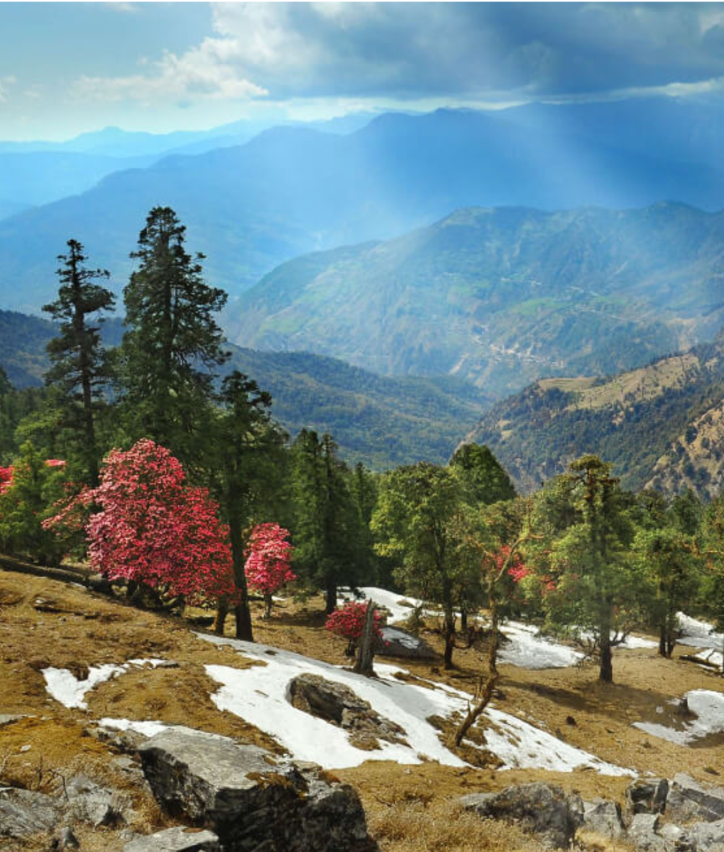 Nag Tibba Trek